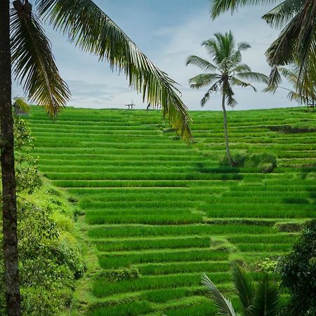 Be Bali Stay Ubud Exterior foto