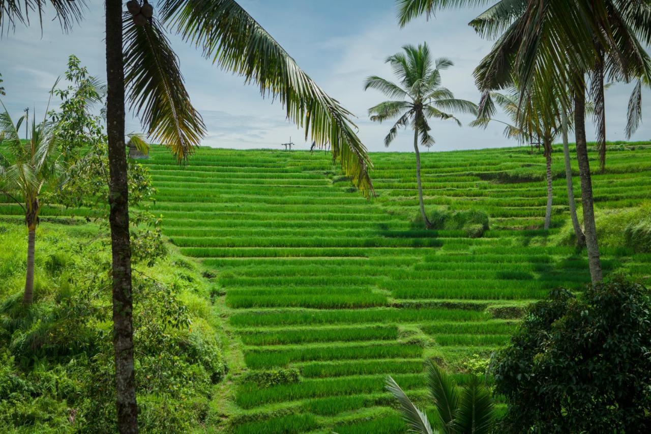 Be Bali Stay Ubud Exterior foto