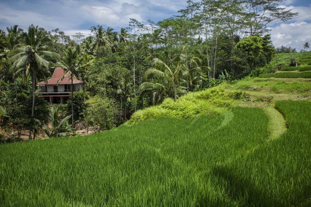 Be Bali Stay Ubud Exterior foto